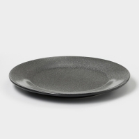 Тарелка фарфоровая &laquo;Млечный путь&raquo;, d=26 см