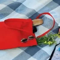 Холщовая сумка Strong 210, красная