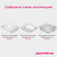 Форма из жаропрочного стекла для запекания и выпечки овальная Доляна, 3 л, 35×24×6 см Форма из жаропрочного стекла для запекания и выпечки овальная Доляна, 3 л, 35×24×6 см
