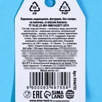 Формовой леденец &laquo;Губки уточкой&raquo;, вкус: ананас, БЕЗ САХАРА, 15 г.
