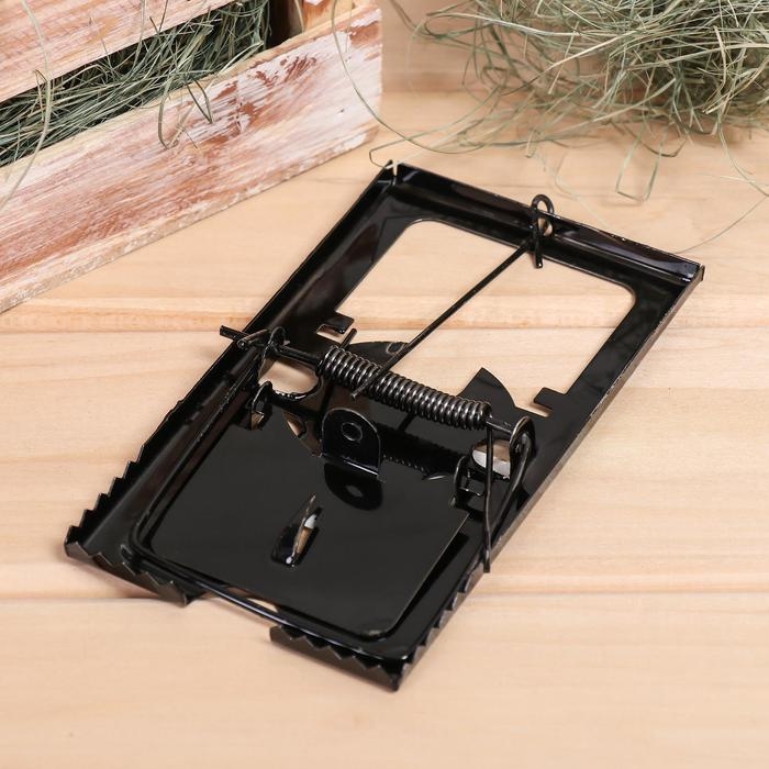 Крысоловка, 8,5 × 15 см, металлическая Крысоловка, 8,5 × 15 см, металлическая