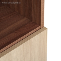 Шкаф для документов 2-х дверный, 800х420х1900, Ясень шимо светлый/темный