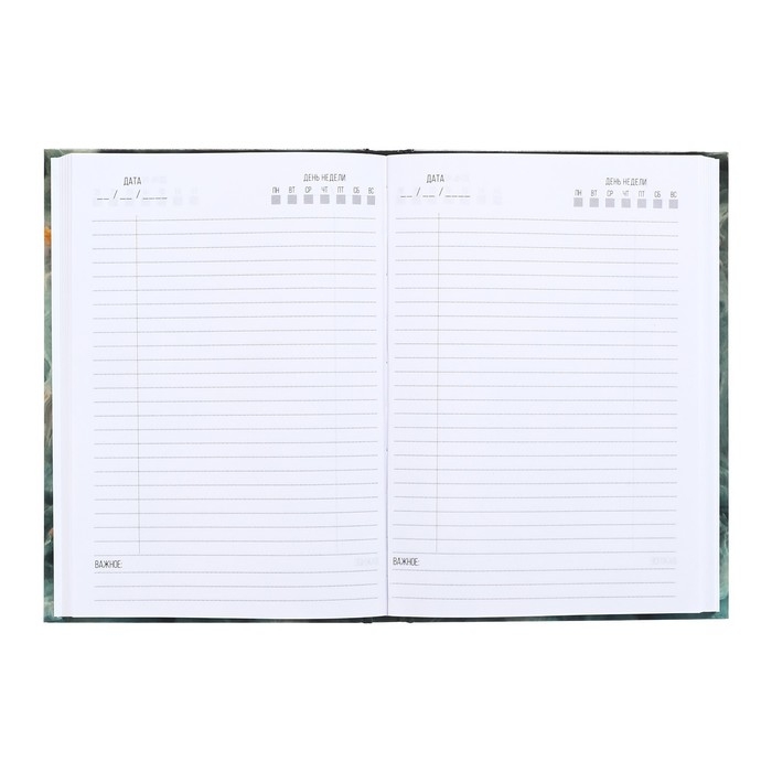 Ежедневник недатированный А5, 160 листов, Calligrata, "МРАМОР ЗЕЛЕНЫЙ" глянцевая ламинация