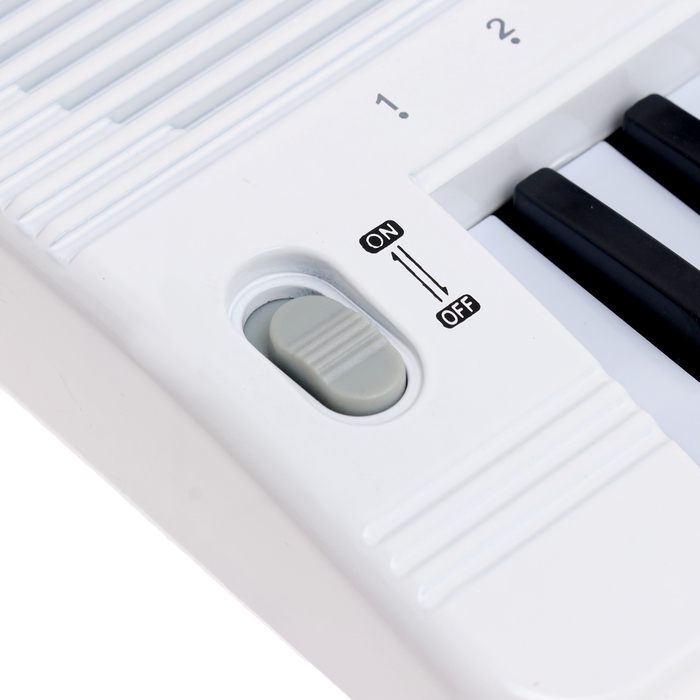 Синтезатор &laquo;Музыкант&raquo; с микрофоном, 49 клавиш, работает от сети и от батареек