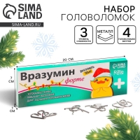 Набор головоломок &laquo;Вразумин&raquo; 4 штуки