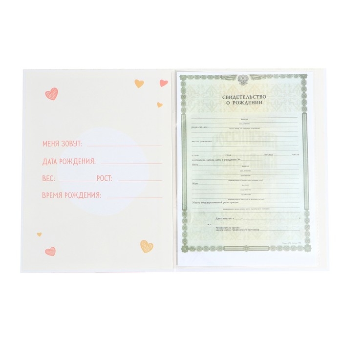 Папка для свидетельства о рождении &laquo;Медвежонок&raquo;, 23,5 х 31,5 см.