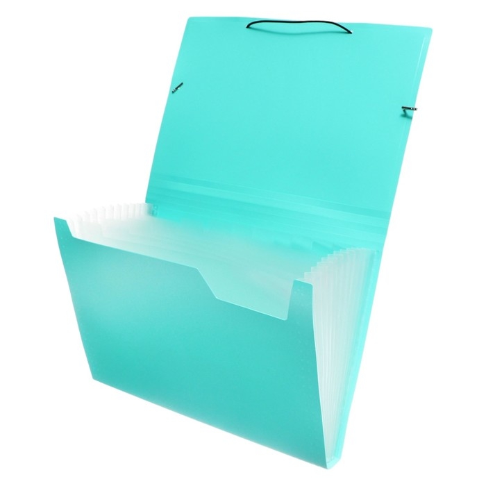 Папка картотека А4, Calligrata Папка картотека А4, Calligrata "Акварель", 13 отделений, пластиковая, 700 мкм, мятная, резинка чёрная