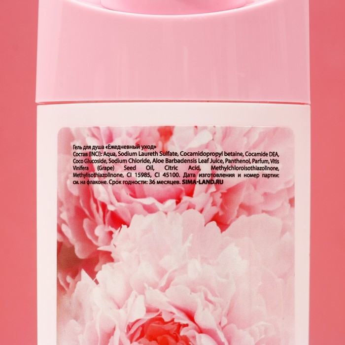 Подарочный набор косметики &laquo;Сияй!&raquo;, гель для душа 250 мл и скраб для тела соляной 250 г, ЧИСТОЕ СЧАСТЬЕ