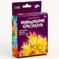 Выращивание кристаллов &laquo;Опыты. Лучистый кристалл&raquo;, цвет жёлтый