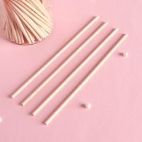 Палочки - дюбели для леденцов, набор 100 шт, 15×0,3 см, берёза Палочки - дюбели для леденцов, набор 100 шт, 15×0,3 см, берёза