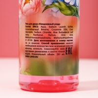 Подарочный набор косметики &laquo;Будь самой счастливой!&raquo;, гель для душа 200 мл и шампунь 200 мл, ЧИСТОЕ СЧАСТЬЕ