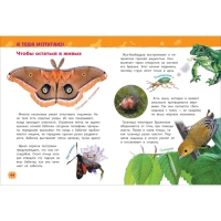 Энциклопедия для детского сада &laquo;Насекомые&raquo;