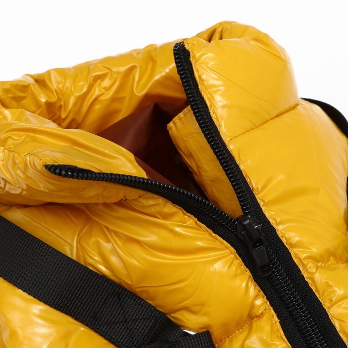 Комбинезон для собак со шлейкой Комбинезон для собак со шлейкой "Моден", размер 20 (ДС 43, ОГ 56,ОШ 41 см), жёлтый