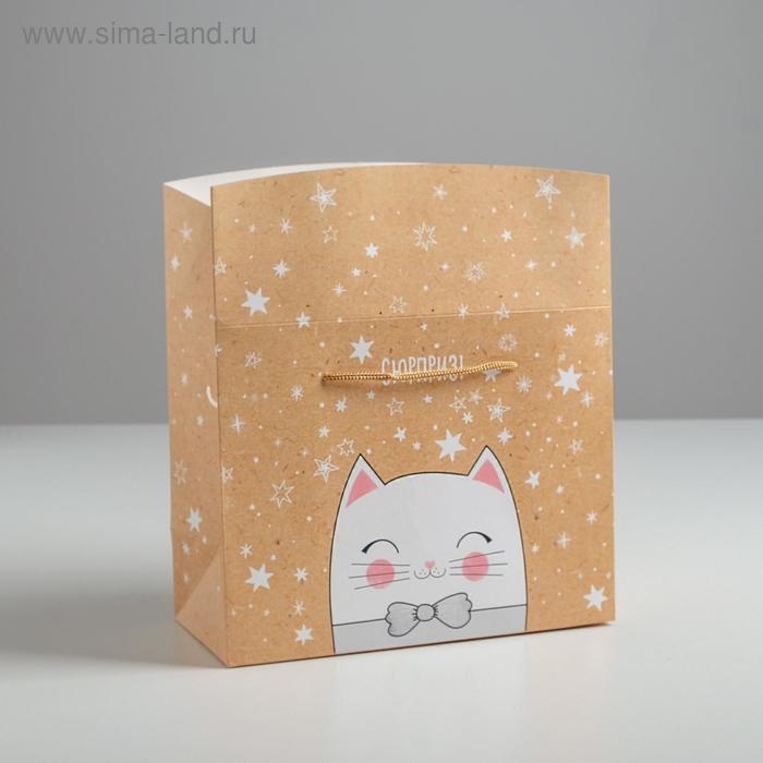 Пакет&mdash;коробка &laquo;Сюрприз!&raquo;, 23 х18 х11 см