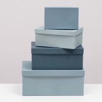 Набор коробок 10 в 1 "Барракуда" 30,5 х 20 х 13 - 12 х 6,5 х 4 см Набор коробок 10 в 1 "Барракуда" 30,5 х 20 х 13 - 12 х 6,5 х 4 см