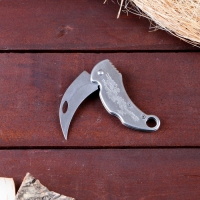 Нож-керамбит "Дракон" 14,5см, клинок 65мм/2мм, серебристый Нож-керамбит "Дракон" 14,5см, клинок 65мм/2мм, серебристый