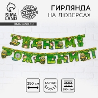 Гирлянда &laquo;С Днем Рождения&raquo;, военная, длина 250 см