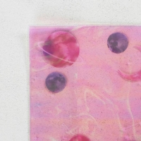 Обложка для тетрадей и школьного дневника «Космос», 34,7 х 21,1 см. Обложка для тетрадей и школьного дневника «Космос», 34,7 х 21,1 см.