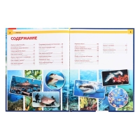 Энциклопедия с развивающими заданиями &laquo;Акулы&raquo;