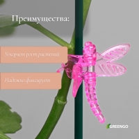 Клипса для растений «Стрекоза», набор 10 шт., МИКС, Greengo Клипса для растений «Стрекоза», набор 10 шт., МИКС, Greengo