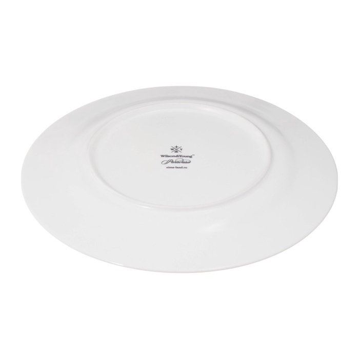 Тарелки WY Paradaise, d=25,5 см, набор 2 шт, фарфор