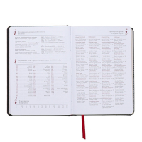 Ежедневник недатированный А5+, 136 листов Sidney Nebraska, твёрдая обложка, искусственная кожа, золотой срез, чёрный