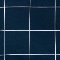 Постельное бельё Этель 2 сп "Клетка" цвет синий 175х215, 200х220, 50х70-2 шт, бязь, 125 г/м2