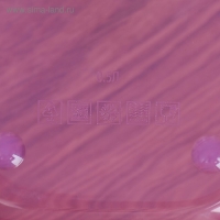 Ланч-бокс &laquo;Подсолнух&raquo;, 500 мл