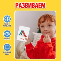 Развивающий набор &laquo;Мои первые слова&raquo;