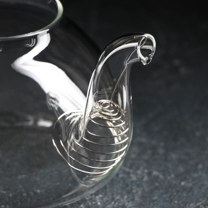 Чайник стеклянный заварочный с металлическим ситом Доляна &laquo;Элегия&raquo;, 800 мл