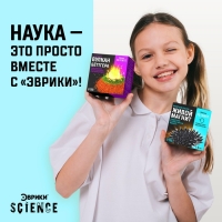 Набор для опытов &laquo;Живой магнит&raquo;