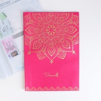 Папка для документов &laquo;Docs&raquo;, 8 файлов А4