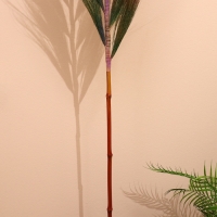 Сухоцвет на бамбуковом стебле 250 см разноцветный Сухоцвет на бамбуковом стебле 250 см разноцветный