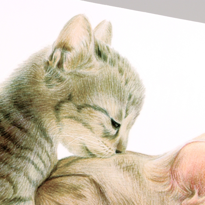 Наклейка 3Д интерьерная Котики 30*30см Наклейка 3Д интерьерная Котики 30*30см