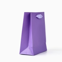 Пакет подарочный &laquo;Сияй ярче всех&raquo;, голография, S 12 х 5.5 х 15 см