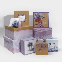 Набор коробок 10 в 1, упаковка подарочная, &laquo;Прованс&raquo;, 10.2 х 10.2 х 6&ndash;28.2 х 28.2 х 15 см