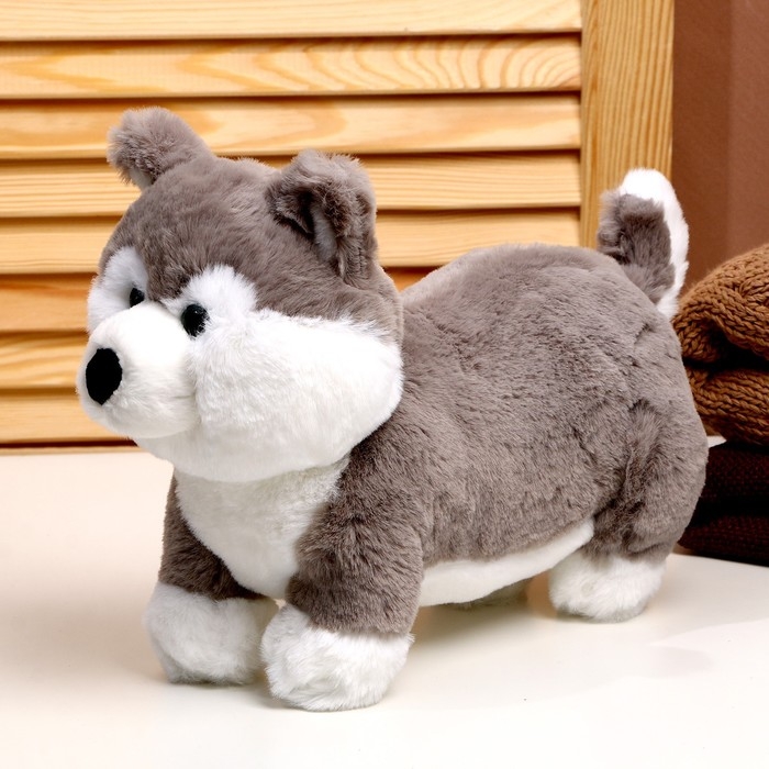 Мягкая игрушка &laquo;Хаски&raquo;, размер 28 см, цвет серый
