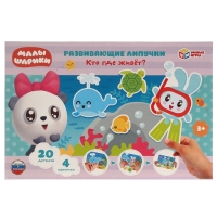 Игра с липучками &laquo;Кто где живёт. Малышарики&raquo;, 3+
