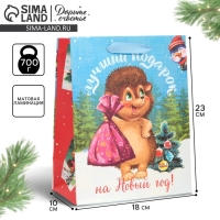 Пакет подарочный новогодний ламинированный &laquo;Лучший подарок&raquo;, MS 18 х 23 х 10 см, Новый год