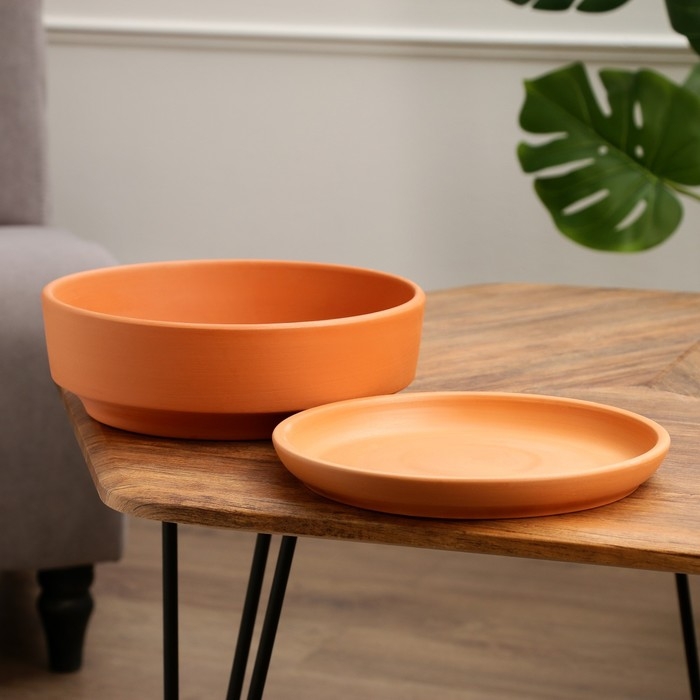 Горшок бонсайница "Огма" для кактусов и суккулентов, терракот, 3 л