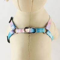 Комплект &laquo;Моя радость&raquo;, шлейка 24-36 см, поводок 120х1 см