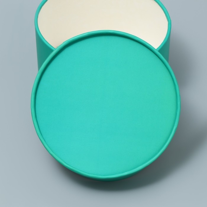 Коробка подарочная, упаковка, &laquo;Мята&raquo;, 13 х 9 см