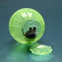 Шар для грызунов 10 см, зелёный Шар для грызунов 10 см, зелёный