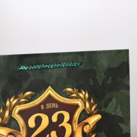 Пакет подарочный ламинированный горизонтальный, упаковка, &laquo;С 23 февраля&raquo;, ML 25х 21 х 8 см