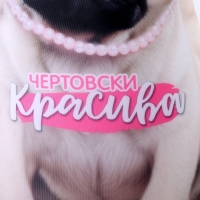 Антистресс игрушка, собака &laquo;Чертовски красива&raquo;