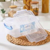 Контейнер пищевой RICCO, 4,5 л, 32&times;20&times;12 см, прямоугольный, цвет прозрачный, ручки голубые