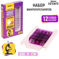 Набор для опытов &laquo;Набор микропрепаратов&raquo;, насекомые