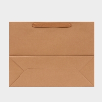 Пакет крафт без печати, 50 x 38 x 18 см 210 гр