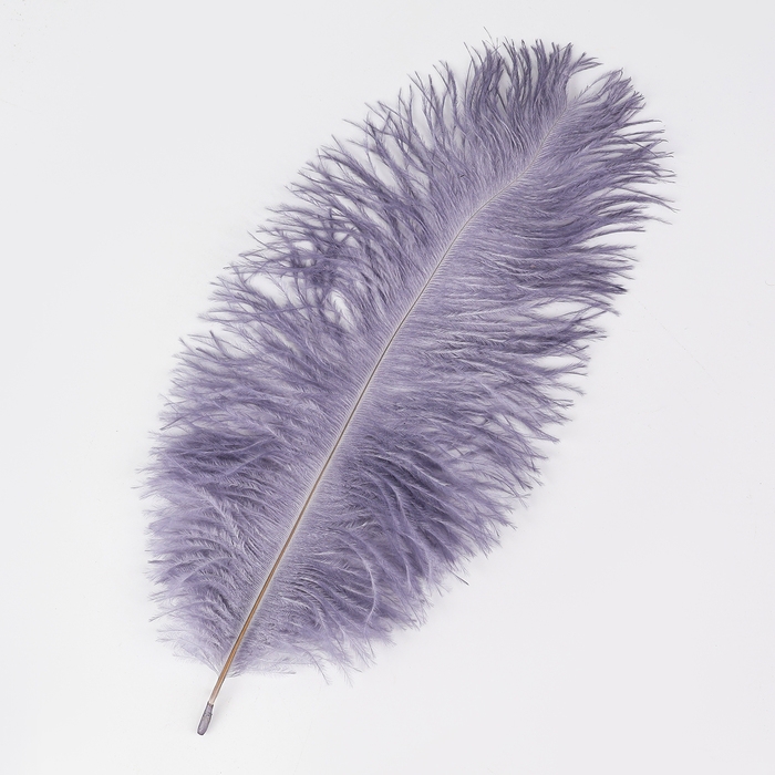 Перо для декора 1 шт., размер 24 см, цвет серый Перо для декора 1 шт., размер 24 см, цвет серый