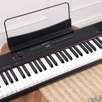 Электронное пианино DENN PRO PW01, 8 тембров, полифония 48 нот, 88 клавиш Электронное пианино DENN PRO PW01, 8 тембров, полифония 48 нот, 88 клавиш